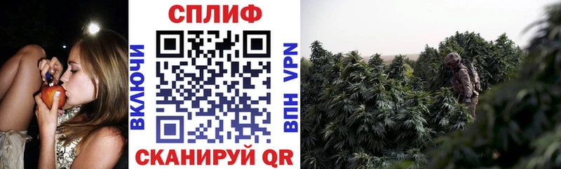 Шишки марихуана сатива  Пыть-Ях 